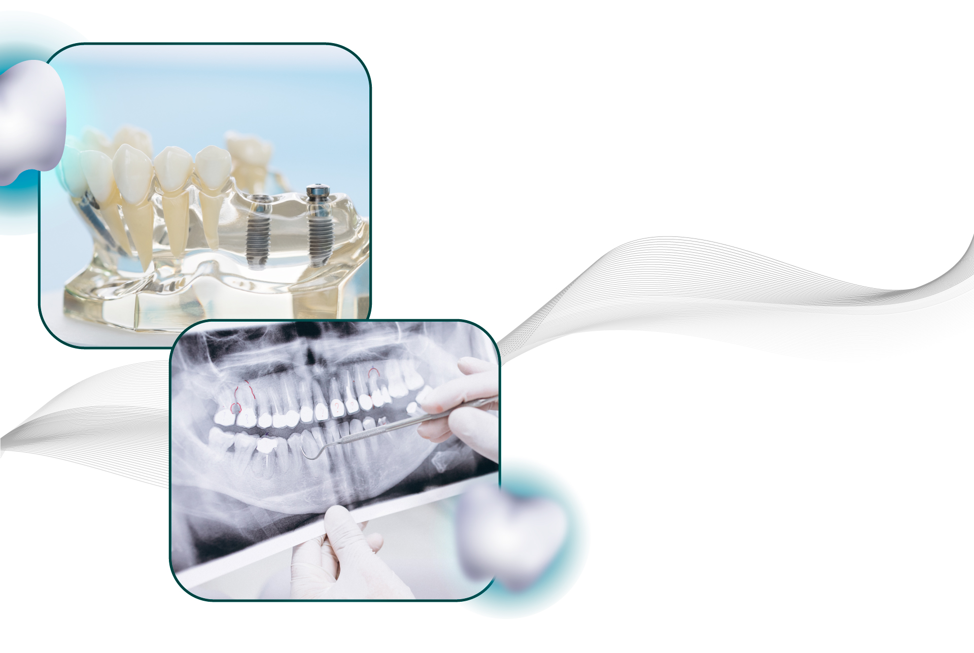 Website Banner Ve Bac Si